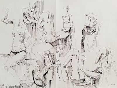 IMG_4556